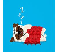 Iota Illustration Pug In A Rug - art poster print by Oliver Lake