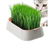 Iouyjiu Cat Grow Kit - Hydroponic Cat Pot | Double Layer Soilless Wheat Planting for Busy Owners