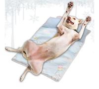Iouyjiu Cooling Mat for Dogs, Cool Ice Mattress for Pets | Dodo Ice Cushion Recovery After Exercise Warm Weather Car Outdoor Cage Indoor Sofa Bedroom