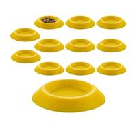 Iouyjiu Dubia Roaches Feeder, Terrariums Enclosures Feeding Tray,Dubia Roaches Tiny Feeding Dish - for Springtails Millipedes Tiny Pet Animals