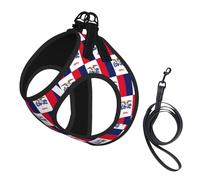 Iowa State Flag Print Pet Supplies Adjustable Step-In Flex Breathable Mesh Dog Harness For Small Medium Dogs, S-L