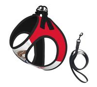 Iowa State Flag Print Step in Dog Harness and Leash Set,Adjustable Reflective Harness for Small Dogs Cats