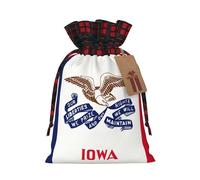 Iowa State Flag Printing Color Matching Plaid Christmas Bag With Drawstring For Christmas Birthdays Party,4.7x6.9 Inch
