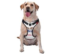 Iowa State Flag X-Large Printed pet Traction Vest for Pets to wear When Walking The Dog or Climbing Mountains
