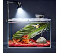 IP134-White 3 Gallon Glass Aquarium with Downlight