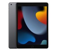 Apple iPad 9th Gen 10.2in Wi-Fi 256GB - Space Grey