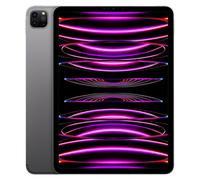 iPad Pro 11" (2022) 4th gen 512 GB - Wi-Fi + 5G - Space Gray refurbished