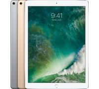 iPad Pro (2017) | 12.9" | 64 GB | 4G | space gray