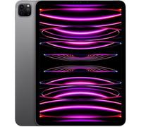 iPad Pro (2022) | 11.0" | 8 GB | 128 GB | space gray