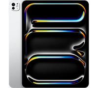 iPad Pro (2025) | 13" | 9-Core CPU | 12 GB | 256 GB | silver | Standard glass | WiFi + 5G