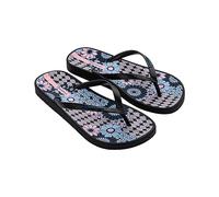 Ipanema Women's Anat. Temas XIV Fem Flip-Flop