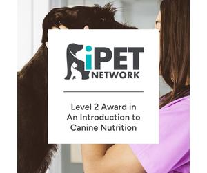 iPET Network Level 2 Award in An Introduction to Canine Nutrition