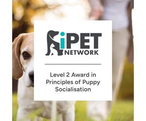 iPET Network Level 2 Award in Principles of Puppy Socialisation