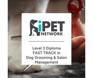 iPET Network Level 3 FAST TRACK Diploma in Dog Grooming and Salon Mana