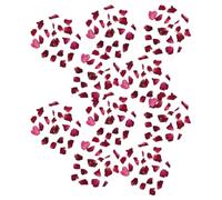 Ipetboom 10 Packs Natural Dried Rose Petals 100g Total, Biodegradable Red Flower Petals for Wedding Table Confetti and Crafts Decoration, for Soap Making and Romantic Celebrations