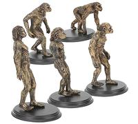 Ipetboom 1Set Human Evolution Model Playthings Educational for Science Experiments Creative Character Models for Teaching and Decor