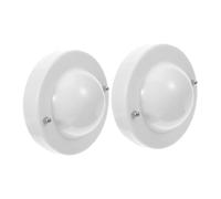 Ipetboom 2pcs Conductive Physics Balls Plastic Electricity Magnetism Kit for Science Experiments Educational Body Induction Tool for Middle School Learning