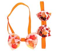 Ipetboom 2pcs Thanksgiving Headband Turkeys Turkey Head Band Hair Toppers Headbands Hair Ribbons Headband Girl Headdress Photo Props Party Supplies Nylon Cloth