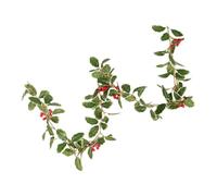 Ipetboom Elegant Christmas Berry Rattan Ornament with White Edged Leaves Realistic Faux Branch for Holiday Party Decorations and DIY Garland Supplies