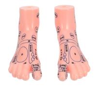 Ipetboom Foot Massage Model Pair with Detailed Reflexology Points Educational Foot Bath Display Model for Therapy and Teaching Use and Massage