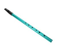 Ipetboom Fun Instruments Recorder Instrument for Adults Beginner Flutes Recorder Whistle Abs Green