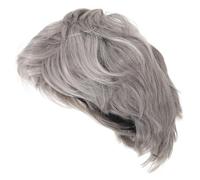 Ipetboom Fun Wig Rocker Wigs Mens Wigs Short for Men Confidence and Masculinity