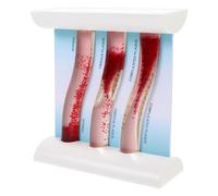 Ipetboom Human Body Blood Vessel Model Anatomical Teaching Model for Medical Students Dynamic Blood Flow Representation for Classrooms and Clinics