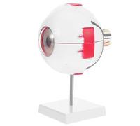 Ipetboom Human Eye Anatomy Model 6x Enlarged Removable Eyeball Cross Section Numbered Parts for Medical Teaching Clinic Patient Education and Student Anatomy Study