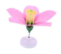 Ipetboom Realistic Peach Blossom Biology Model Educational Teaching Tool for Middle High School Biology Classes Detailed Artificial Peach Branches Flower Structure