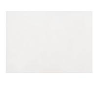 Ipetboom Simulation Silk Photography Background Cloth Portrait Photo Backdrop for Photographers Soft Comfortable Touch No Reflective White Photo Studio Hanging Cloth for Photography