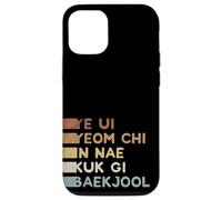 iPhone 12/12 Pro Retro Korean TKD Oath | Five Commandments Tae-Kwon-Do Case