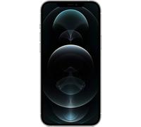 iPhone 12 Pro Max | 256 GB | Dual-SIM (eSIM, Nano-SIM) | silver