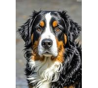 IPISSOI Bernese Mountain Dog Diamond Painting DIY Kits 5D Diamond Art Full Round Drill Rhinestone Crystal by Number Stitch Handmade Arts and Crafts for Living Room Bedroom Home Wall Decor 12x16inch