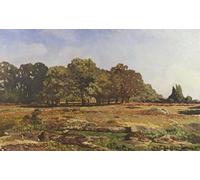 IPLUPJDY Aesthetic Poster Photo Wall Print Modern Wall Artwork Avenue of Chestnut Trees At La Celle Saint Cloud by Alfred Sisle Canvas Picture for Home Decor 60x90cm
