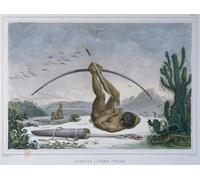 IPLUPJDY Aesthetic Poster Photo Wall Print Modern Wall Artwork Cabocle Indian Hunting Birds with a Bow and Arrow by Jean Baptiste Debret Canvas Picture for Home Decor 60x90cm