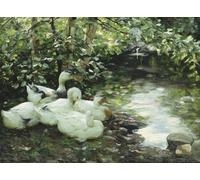 IPLUPJDY Aesthetic Poster Photo Wall Print Modern Wall Artwork Five Ducks on the River Stony Shore by Alexander Koester Canvas Picture for Home Decor 60x90cm