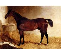 IPLUPJDY Aesthetic Poster Photo Wall Print Modern Wall Artwork Flexible a Chestnut Racehorse in a Loose Box by John Frederick Herring Jnr. Canvas Picture for Home Decor 60x90cm