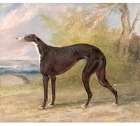 IPLUPJDY Aesthetic Poster Photo Wall Print Modern Wall Artwork One of George Lane Winning Greyhounds by George Garrard Canvas Picture for Home Decor 60x90cm