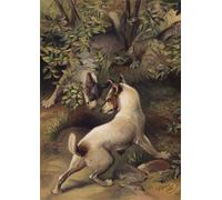 IPLUPJDY Aesthetic Poster Photo Wall Print Modern Wall Artwork Two Dogs Trying to Reach a Pool of Water to Drink by Harrison William Weir Canvas Picture for Home Decor 60x90cm