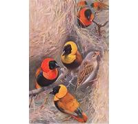 IPLUPJDY Aesthetic Poster Photo Wall Print Modern Wall Artwork Weaver Birds Illustration Fromwildlife of the World by Wilhelm Kuhnert Canvas Picture for Home Decor 60x90cm