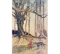 IPLUPJDY Aesthetic Poster Photo Wall Print Modern Wall Artwork When She Got to the Wood She Met a Wolf by Arthur Rackham Canvas Picture for Home Decor 60x90cm