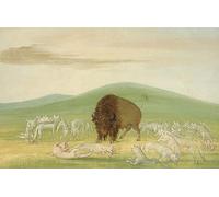 IPLUPJDY Aesthetic Poster Photo Wall Print Modern Wall Artwork Wounded Animal Animal Surrounded by White Wolves by George Catlin Canvas Picture for Home Decor 60x90cm