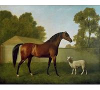 IPLUPJDY Retro Picture Canvas Art Poster Nordic Poster Dungannon the Property of Colonel O'kelly Painted in a Paddock with a Sheep by George Stubbs Canvas Image for Wall Decor 60x90cm