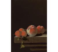 IPLUPJDY Retro Picture Canvas Art Poster Nordic Poster Peaches and Apricots on a Stone Ledge by Adrian Coorte Canvas Image for Wall Decor 60x90cm
