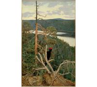 IPLUPJDY Retro Picture Canvas Art Poster Nordic Poster the Big Black Woodpecker by Akseli Valdemar Gallen Kallela Canvas Image for Wall Decor 60x90cm
