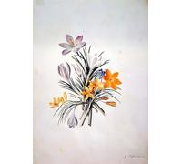 IPLUPJDY Vintage Poster Wall Prints Painting on Canvas Crocus Bunch by Georg Dionysius Ehret Picture Art Prints for Wall Decor 60x90cm