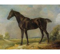 IPLUPJDY Vintage Poster Wall Prints Painting on Canvas Golding Constable s Black Riding Horse by John Constable Picture Art Prints for Wall Decor 60x90cm
