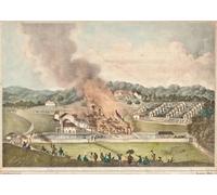 IPLUPJDY Vintage Poster Wall Prints Painting on Canvas the Destruction of the Roehampton Estate in the Parish by Adolphe Duperly Picture Art Prints for Wall Decor 60x90cm