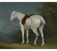 IPLUPJDY Vintage Wall Art Canvas Image Artwork Print Poster a Lady's Grey Hunter by Jacques Laurent Agasse Wall Art Paintiing for Home Decor 60x90cm