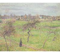 IPLUPJDY Vintage Wall Art Canvas Image Artwork Print Poster Apple Trees in a Meadow At Eragny by Camille Jacob Pissarro Wall Art Paintiing for Home Decor 60x90cm